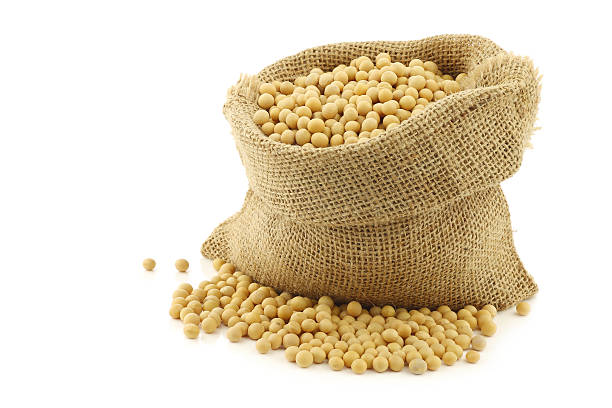 Soya Bean